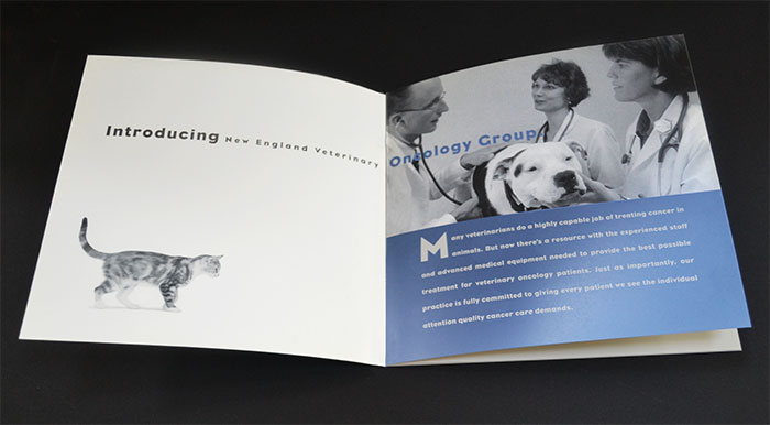 nevog brochure inside